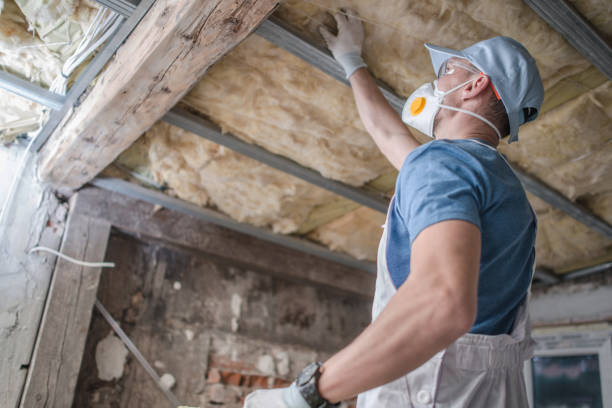 Best Insulation Repair Services  in USA