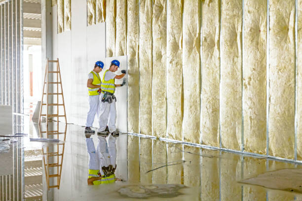 Best Insulation Replacement Services  in USA